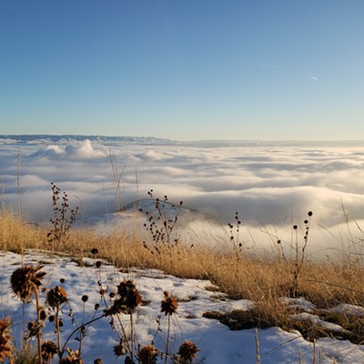 On a very dreary, foggy day in December I drove to the top of the Lewiston hill to find the perfect day and Lewiston undercover.