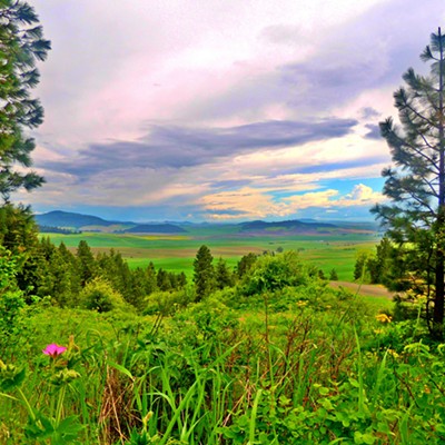 This view of the Palouse from McCroskey State Park was taken by Leif Hoffmann of Clarkston while exploring with family the park's 18-mile long Skyline Drive on May 26, 2019.