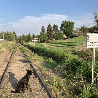 Looking down the state-owned unused CAP (Colfax-Albion-Pullman) rail corridor one mile from downtown Pullman 5/20/23.