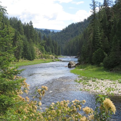 This pretty picture of the wet, wild North Fork Clearwater River was taken July 13, not far from Weitas Creek Campground.
