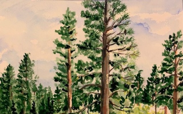 Wilderness Watercolors by Helen Boland