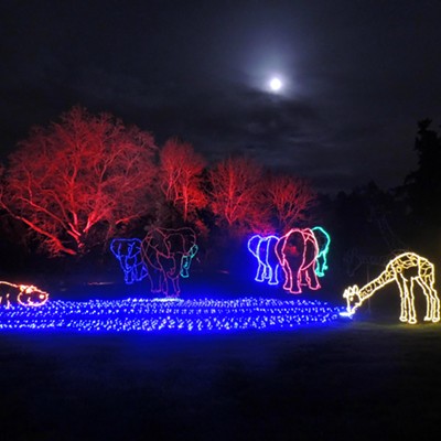 This photo of the annual zoo lights (called WildLights) at the Woodland Park Zoo in Seattle was taken by Leif Hoffmann (Clarkston, WA) on December 23, 2018 during a visit to the zoo with family.