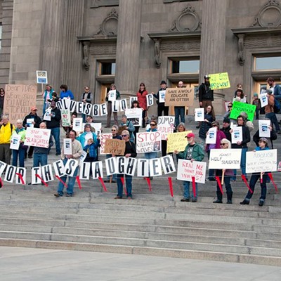 Friends of the Clearwater spearheaded a public rally for wolves on the steps of the state capitol in Boise. February 2016. Boise, Idaho. Gary Grimm photo credit.