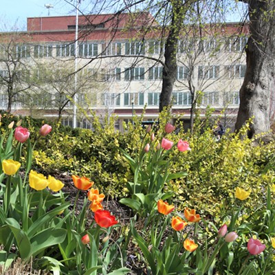 Flowers on the campus of Washington State University in Pullman with part of the library complex in the background.  Photograph taken Sunday, April 18, 2021, by Keith Collins.