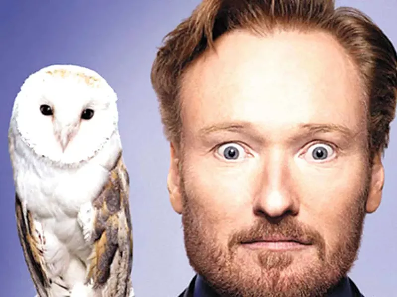 A) There is no owl in this show. B) There should be.