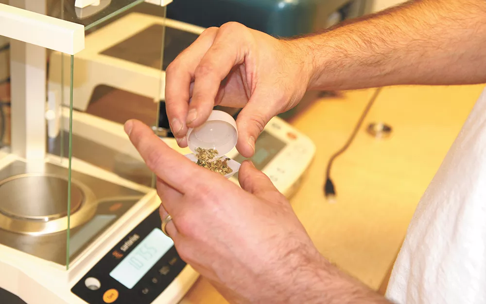 Aaron Stancik, the scientific director of the Pullman location of CannaSafe Analytics, prepares marijuana samples for testing. - JACOB RUMMEL