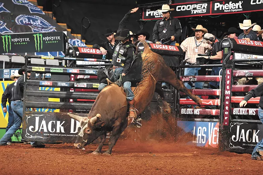 Bushwacker tossed 84 of 87 riders in under eight seconds.