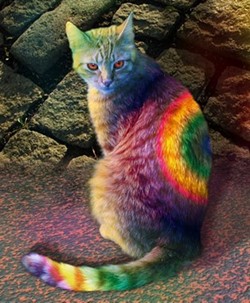 CAT FRIDAY: Painted cats edition