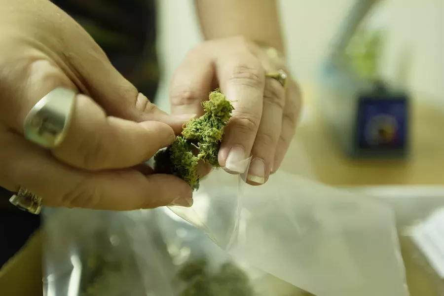 Co-Owner Johanna Tuttle bags one gram of New York City Diesel marijuana. - YOUNG KWAK