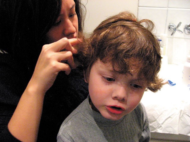 Combating lice requires calm.