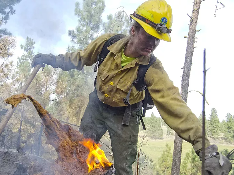 Emily Harpel, a first-year firefighter with the Department of Natural Resources, digs out a burning stump during mop-up on the Depot Springs Road fire in late August. - JACOB JONES