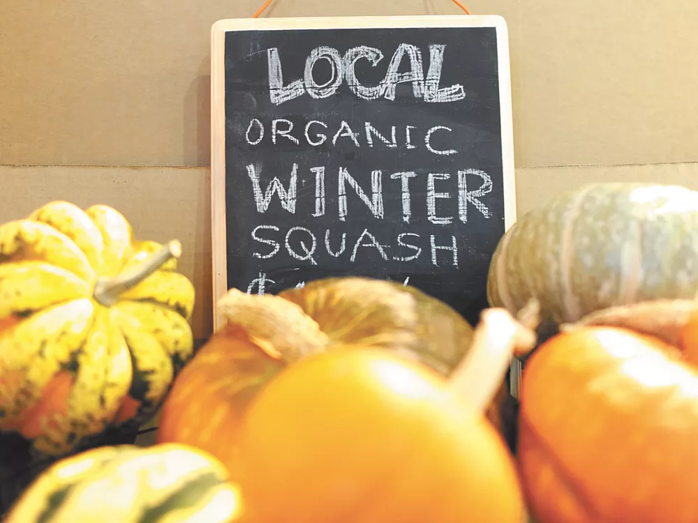Winter Harvest