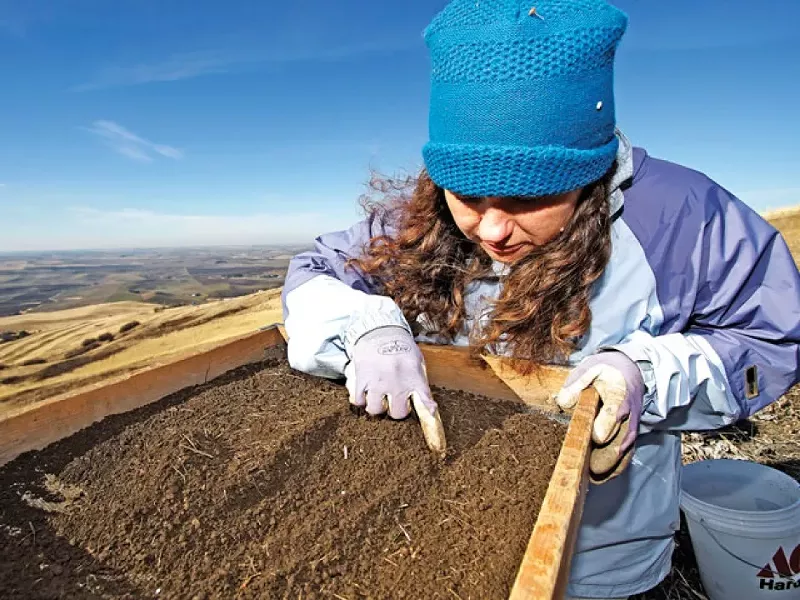 Jodi Johnson-Maynard hand sorts soil on Moscow's Paradise Ridge - YOUNG KWAK