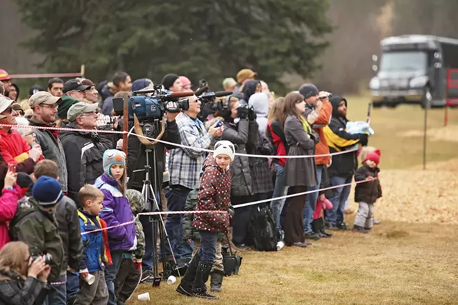 Members of the media and the general public watch an 88-foot Engelmann Spruce, destined to be the U.S. Capitol Christmas Tree, as it's cut. - YOUNG KWAK