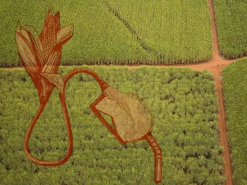 art16807.jpg