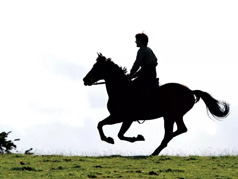 Riding through a battlefield back-lit against the horizon: majestic... but kinda dangerous