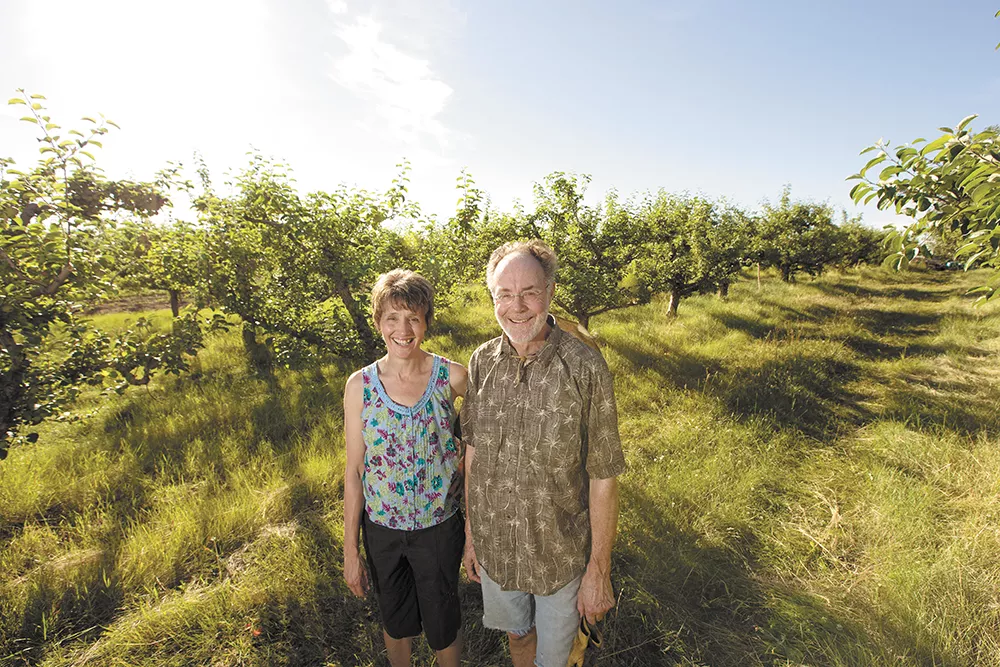 The Coles have something to harvest from July through October at their Green Bluff orchard. - YOUNG KWAK