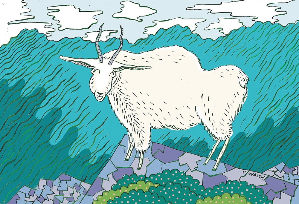The Year of the (Mountain) Goat