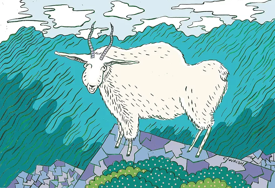 CALEB WALSH ILLUSTRATION