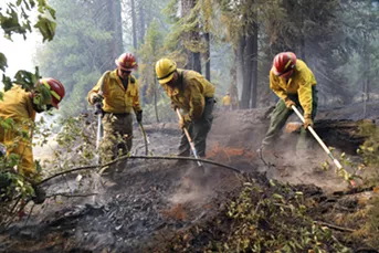 A group of firefighters work to knock out a hotspot in a wilderness area near Bucktail, Calif., Aug. 1, 2018. Officials said the Carr Fire was one of 17 major fires across California that have consumed more than 450,000 acres. Gov. Jerry Brown called it the “new normal.” - JIM WILSON/THE NEW YORK TIMES