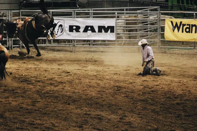 A rider comes to his feet after being thrown from a horse during the saddle bronc riding competition. - QUINN WELSCH PHOTO