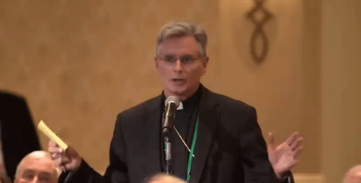 For the first time in seven years of attending United States Conference of Catholic Bishops meetings, Bishop Thomas Daly spoke on the floor last fall, condemning the way some bishops had handled allegations against former Archbishop Theodore McCarrick. - GIF FROM UNITED STATES CONFERENCE OF CATHOLIC BISHOPS VIDEO