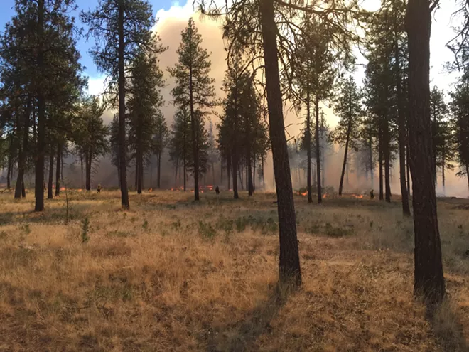 Prescribed burns at Turnbull National Wildlife Refuge could start soon