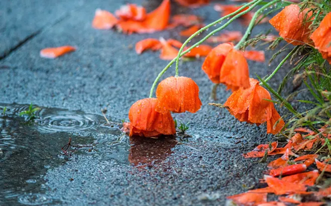 Rain of terror: Images from Thursday's deluge (10)