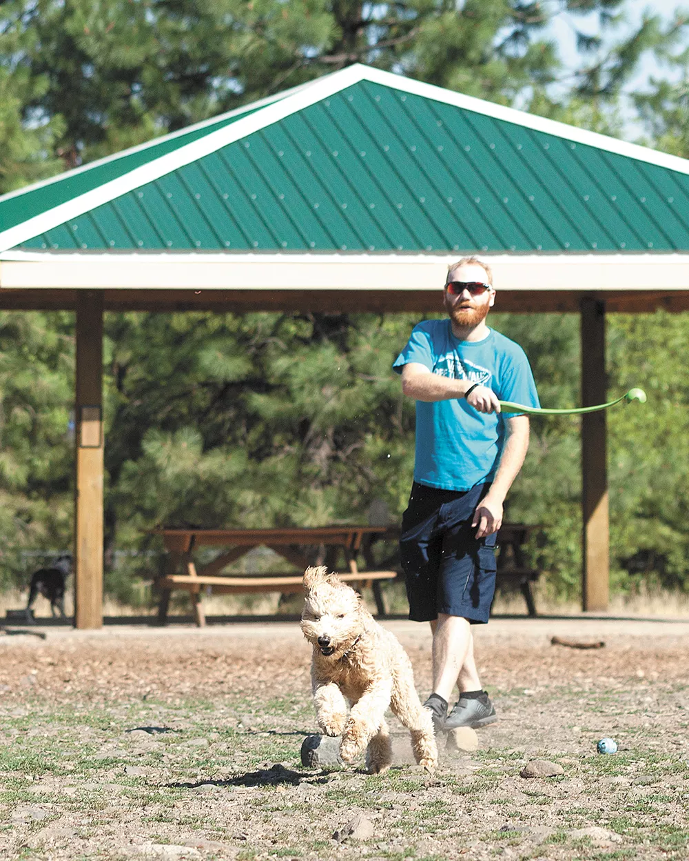 SpokAnimal Dog Park at High Bridge features 11 acres, including a separate area for smaller dogs. - TIMOTHY PHILLIPS PHOTO