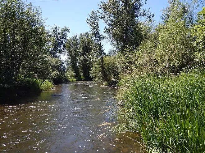 Little Spokane River irrigators likely to see restrictions as water flow drops below minimum healthy levels