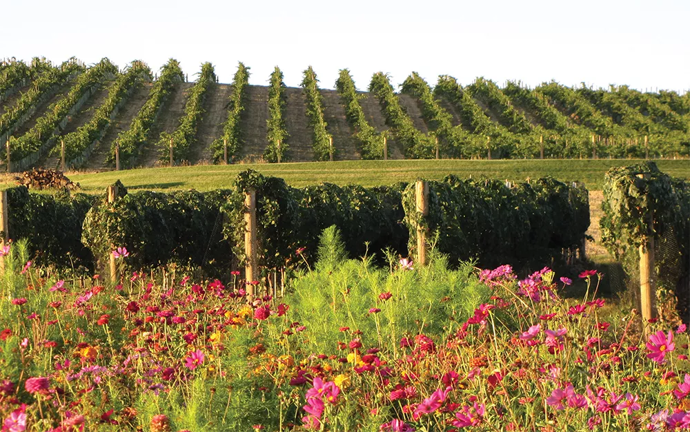 Take a short drive to a memorable getaway