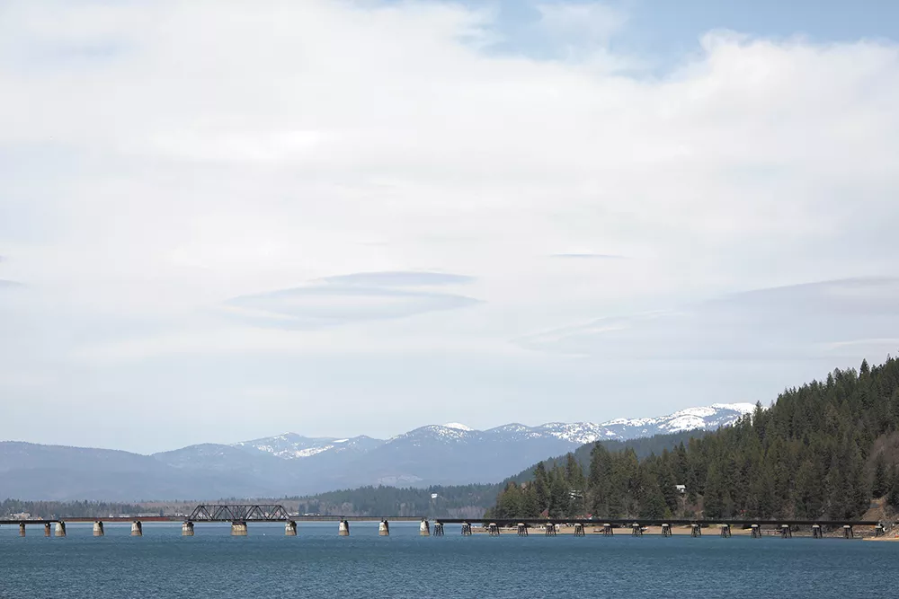 While this year's Long Bridge Swim has been canceled, it's never too early to start training for next summer. - YOUNG KWAK PHOTO