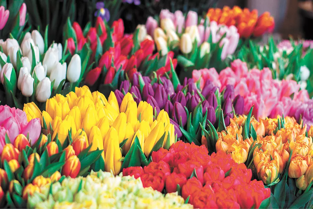 The pandemic hit flower shops at a time when they would normally be slammed with business for prom and graduation celebrations.