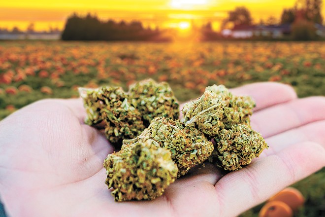 Enjoy autumn with these seasonal cannabis products