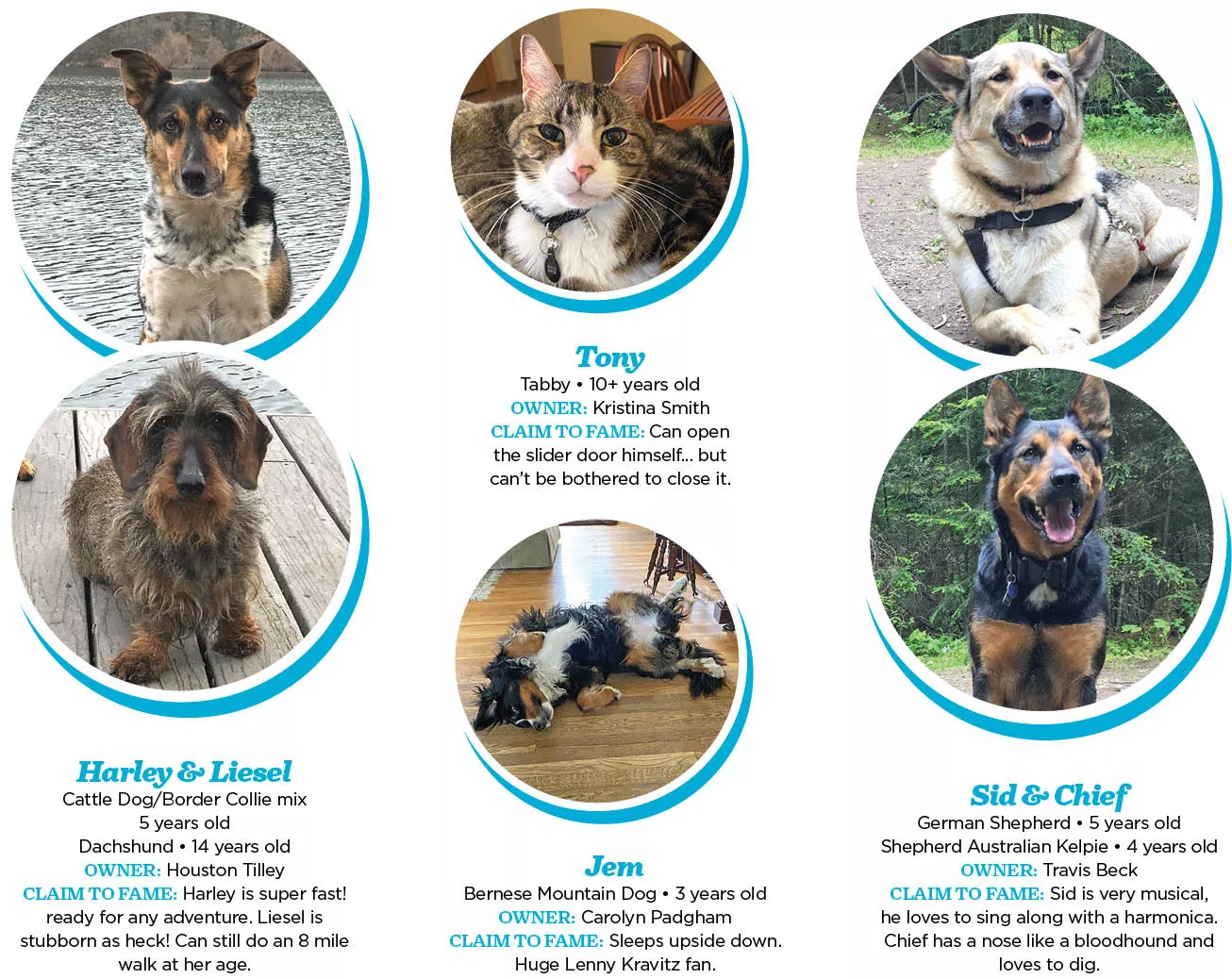 Many households have adopted new pets through the pandemic; here is put together in your cat or canine’s finest, wholesome life | Well being | Spokane | The Pacific Northwest Inlander Many households have adopted new pets through the pandemic; here is put together in your cat or canine’s finest, wholesome life | Well being | Spokane | The Pacific Northwest Inlander