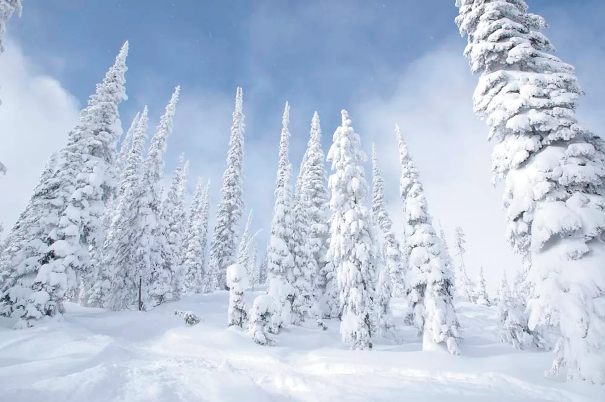 Tough as the year has been, it's also had brighter spots than the years that came before. - LOST TRAIL SKI AREA PHOTO