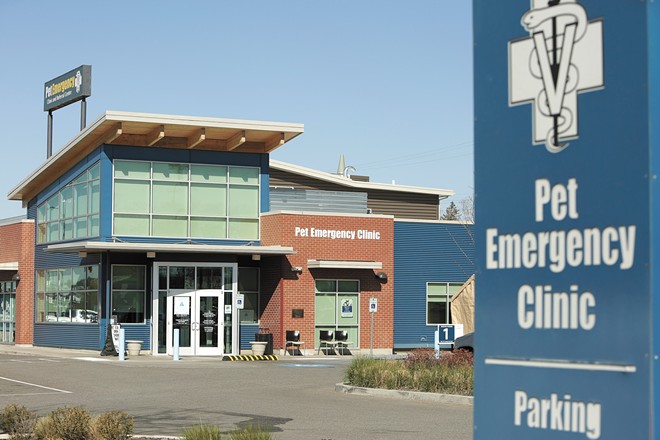Pet Emergency Clinic was in talks to merge with a massive veterinary company when two former vets sued, alleging unfair business practices. - YOUNG KWAK PHOTO