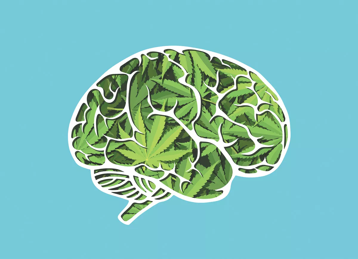 A study released last week identified a connection between an increase in cannabis use disorders and schizophrenia in Denmark.