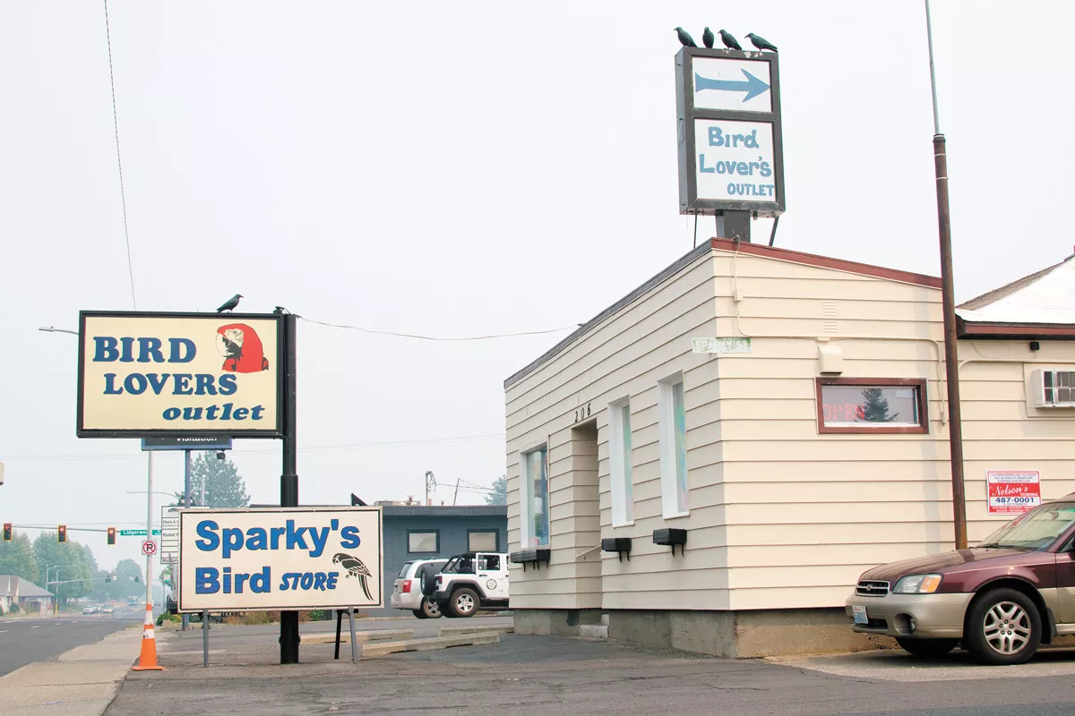 At Sparky's Bird Store, a parrot's death and a SWAT standoff stir up claims of animal abuse and sexual harassment