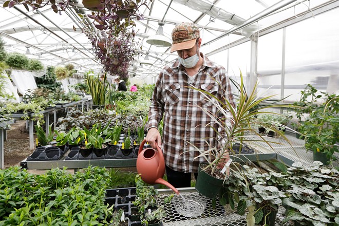 A local expert helps you maximize the benefits of houseplants with minimal effort