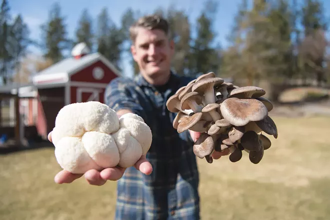 Mushroom grower Rob McFarland says he's always been fascinated with fungi, specifically how they work with plants and soil microbes symbiotically. - ERICK DOXEY PHOTO