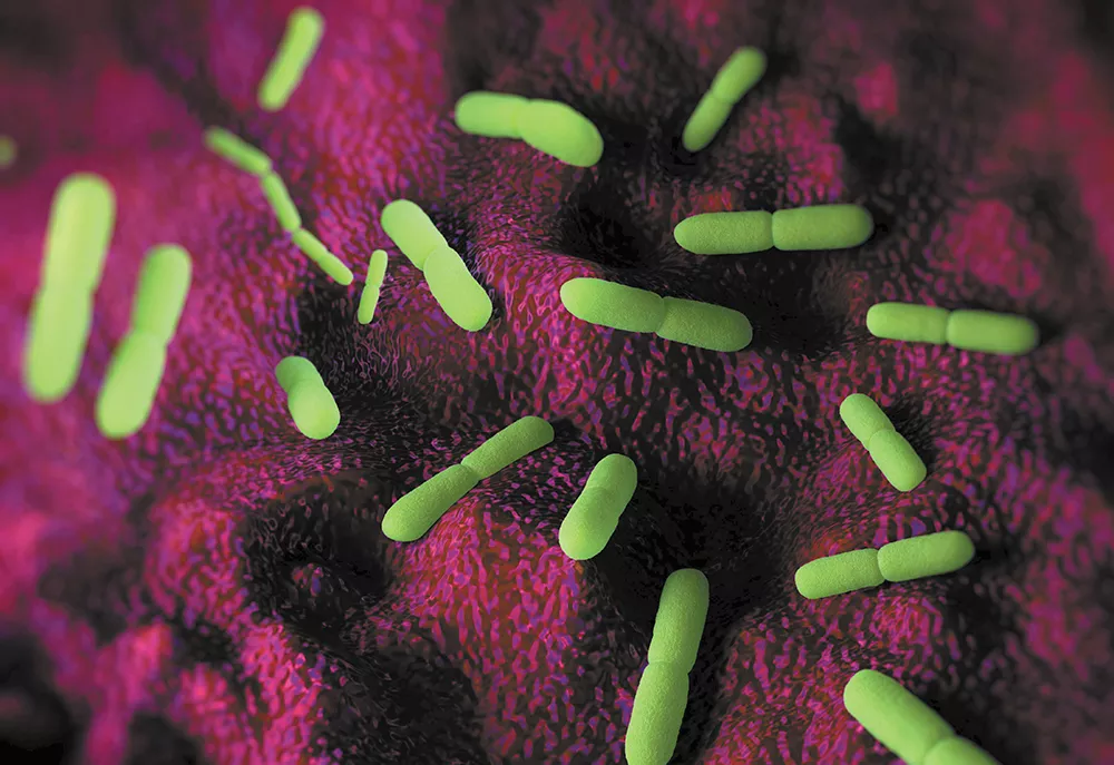 Digital illustration of yersinia pestis, the bacteria that causes the Plague. "Today, modern antibiotics are effective in treating plague," according to the Centers for Disease Control.