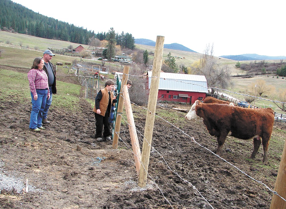 Cross-Cut Farms raises cattle, chicken and vegetables near Post Falls. - CARRIE SCOZZARO