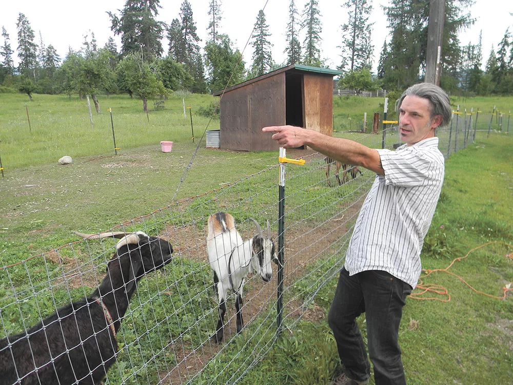 Tim Loe and his partner, Gina Britton, worry that something uphill is making their goats sick. - JAKE THOMAS