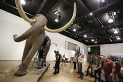 Museum staff assemble a life-size mammoth - YOUNG KWAK