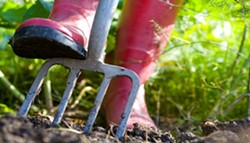 10-tips-to-spring-gardening-on-the-cheap.jpg