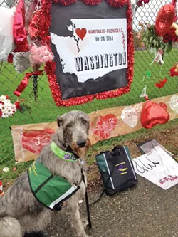 Debbie and Chuck Wing's Irish Wolfhound, Keeva, responded to the Marysville school shooting in 2014.