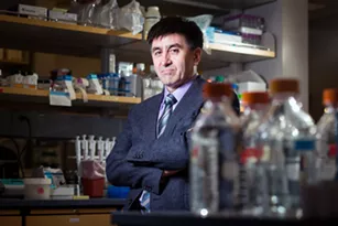 In Breakthrough, Scientists Edit a Dangerous Mutation From Genes in Human Embryos