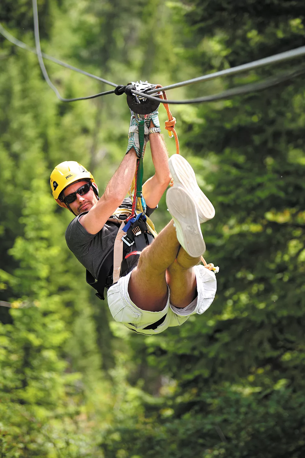 Ziplines