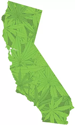 California was the first state to legalize medical marijuana largely due to the activism by Dennis Peron.